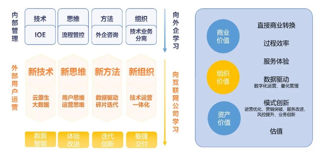 澳门今晚必开1肖,数据引导执行计划_MR15.956