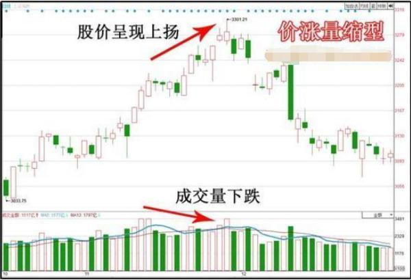 2024澳门特马今晚开奖56期的,实地数据评估解析_投资版44.287